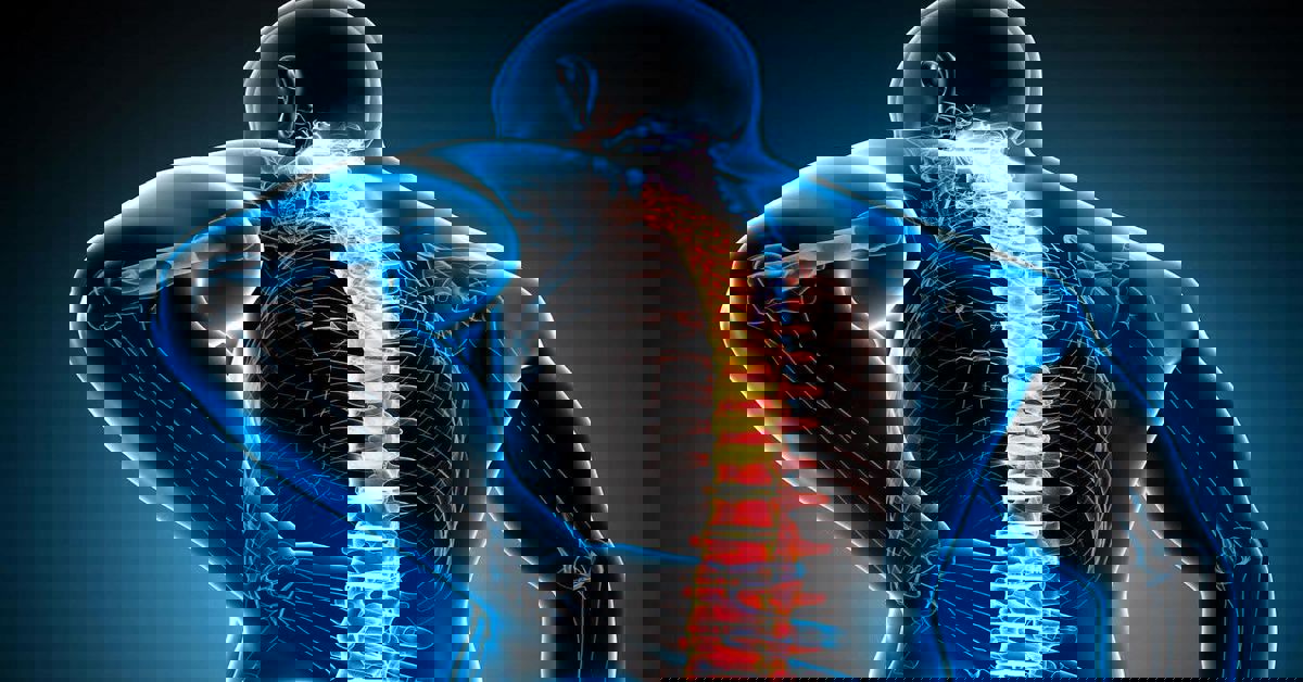 Omurga Fıtığı Tedavisi Omurga Fıtığı Tedavisi